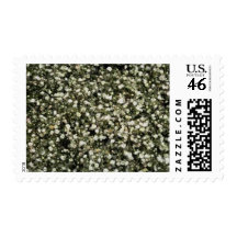 Flowers 189 stamps