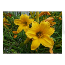 Flowers 18 cards