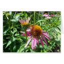 Flowers 19 cards
