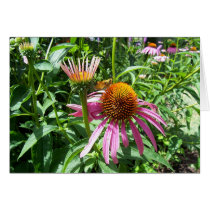 Flowers 19 cards