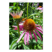 Flowers 19 - Vertical cards