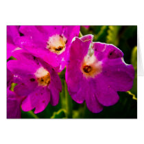 Flowers #1 cards
