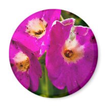 Flowers #1 magnets