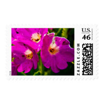 Flowers #1 stamps