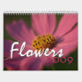Flowers 2009 calendars