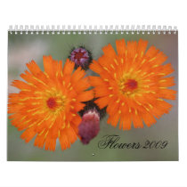 Flowers 2009 wall calendar