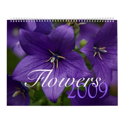 Flowers 2009 Calendar by SabineSt