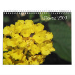 Flowers 2009 calendar