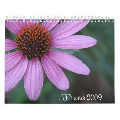 Flowers 2009 wall calendar by princessklb07
