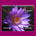 Flowers 2009 Calendar