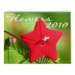 Flowers 2010 calendars