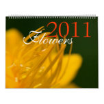 Flowers 2011 Calendar style=border:0;