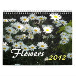 Flowers 2012 wall calendar