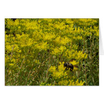 Flowers 20 cards