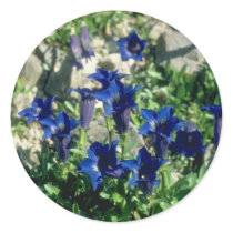 Flowers 212 stickers