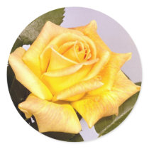 Flowers 219 round stickers