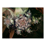 flowers 2