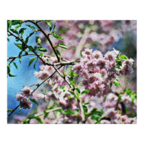 Flowers 3 posters