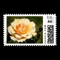 Flowers 43 postage