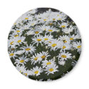Flowers 7 magnets by Flowerpixels Flowers 7 magnets
