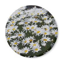 Flowers  7 magnets