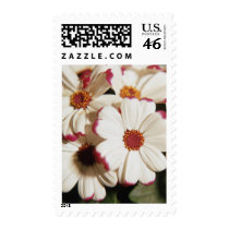 Flowers 88 postage