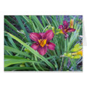 Flowers 8 cards