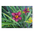postcard - 