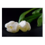 Flowers All Occasion Cards