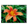 Flowers All Occasion Cards