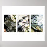 Flowers and Branches Poster