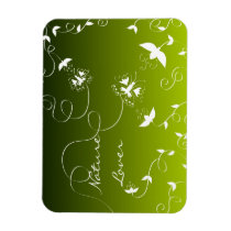 Flowers and butterflies magnets