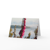 Flowers and Clouds cards