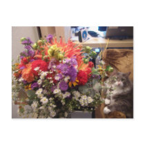 Flowers and Dexter postcards