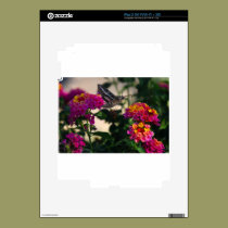 Flowers and Moth skins