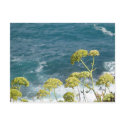 Flowers and Ocean Postcard