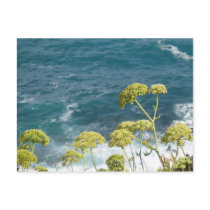 Flowers and Ocean Postcard by emele1 Flowers and Ocean Postcard