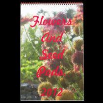 Flowers And Seed Pods in Paintbrush calendars