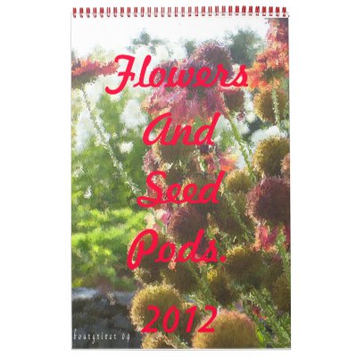 Flowers And Seed Pods in Paintbrush Wall Calendar Flowers And Seed Pods in Paintbrush Wall Calendar