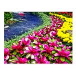 Flowers and Stream postcards