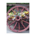 Flowers and Wagon Wheel postcards