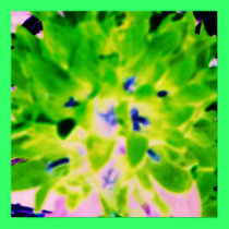 FLOWERS ARE RED posters