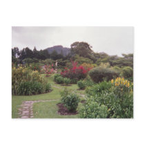 Flowers at Boquete postcards by Killlashandra Flowers at Boquete postcards
