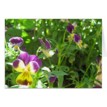 Flowers at Monticello 3 cards by feeltheinsanity Flowers at Monticello 3 cards