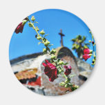 Flowers At San Juan Capistrano Refrigerator Magnets