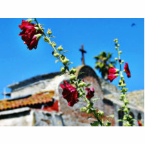 Flowers At San Juan Capistrano Photo Sculptures