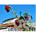 Flowers At San Juan Capistrano Photo Sculptures
