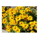 Flowers at the Chapel posters