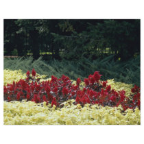 Flowers at the entrance of botanical garden, Quebe Flyer Design