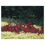 Flowers at the entrance of botanical garden, Quebe flyers